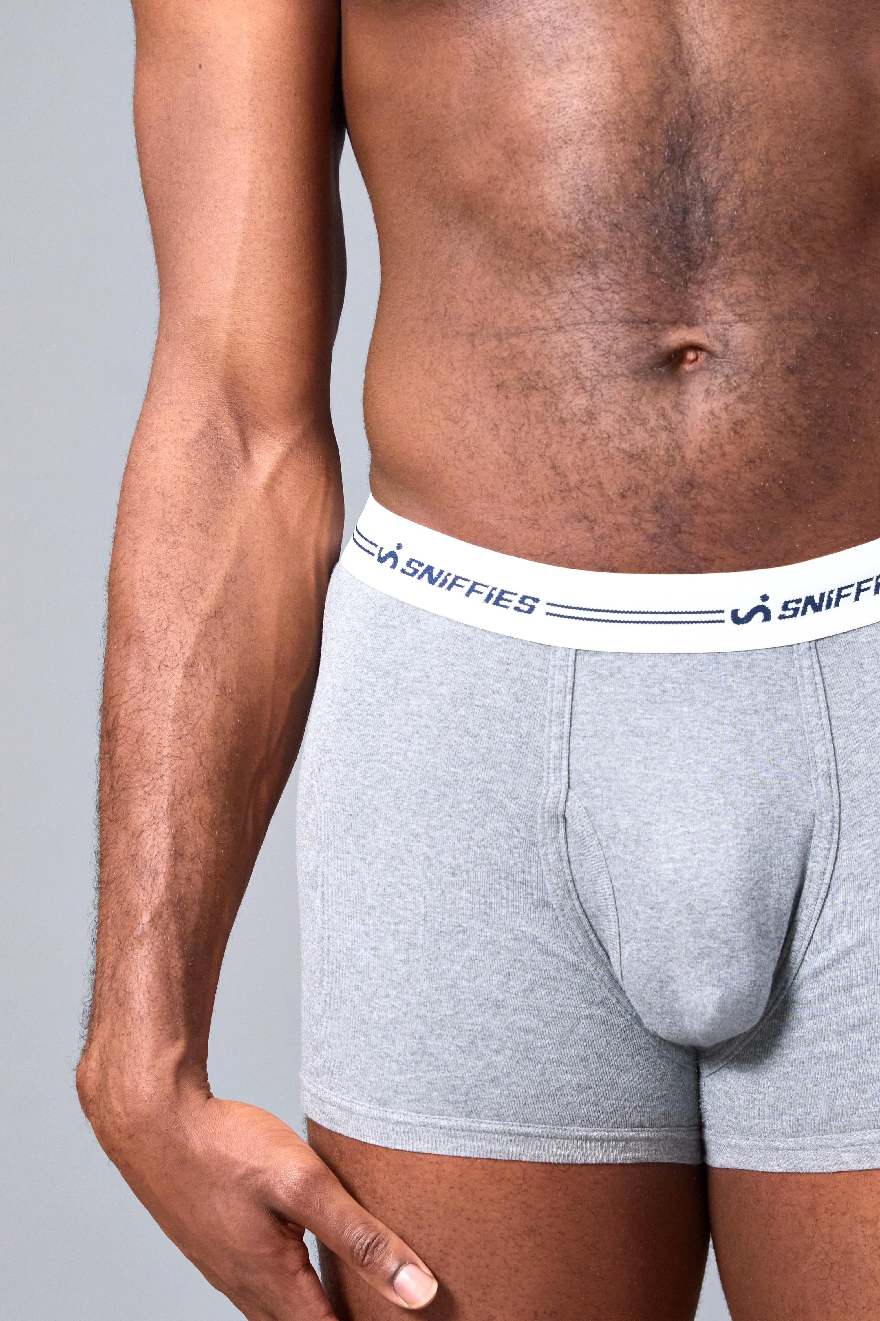 Sniffies Boxer Brief - Grey - Image 2